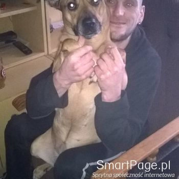 Zdjęcie użytkownika mzdunski
